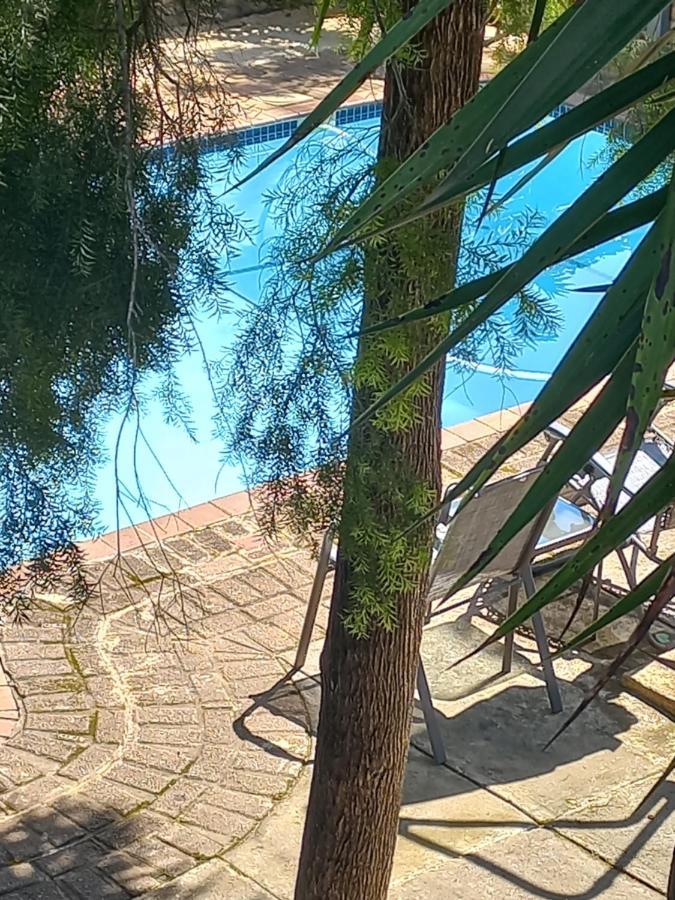Kruger'S Guest House White River Εξωτερικό φωτογραφία